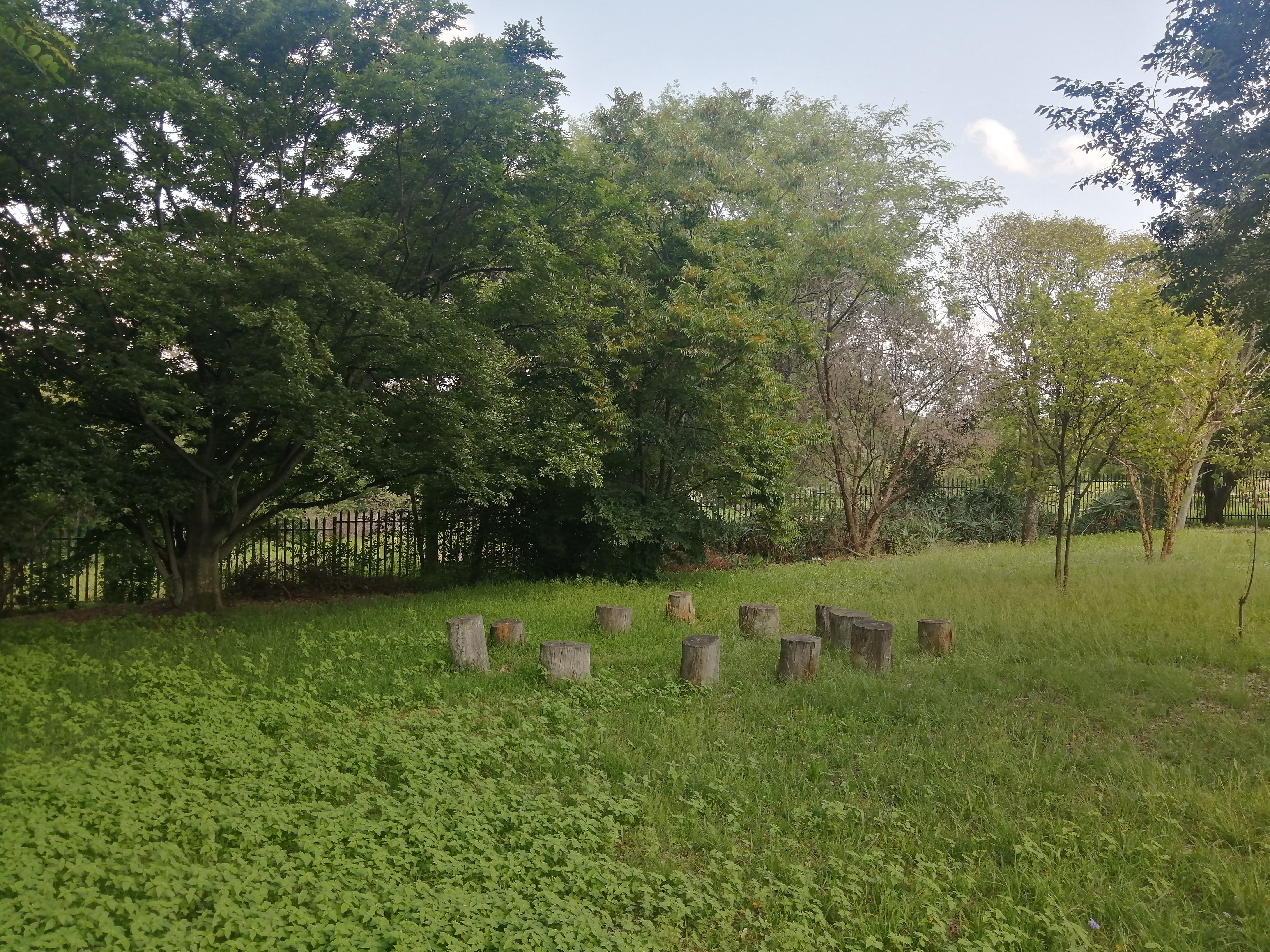 Stump seating